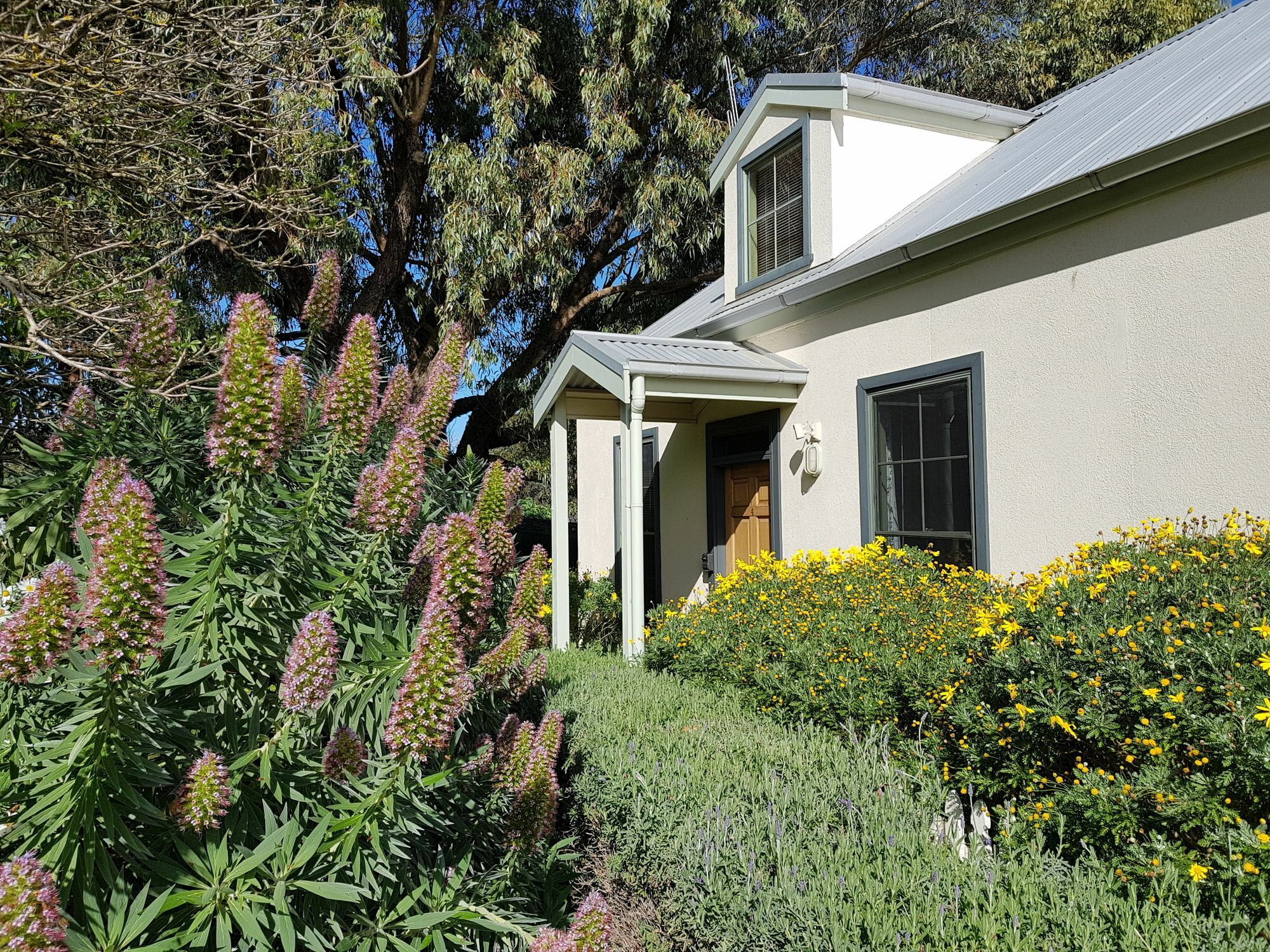Clonmara Country House And Cottages Port Fairy Dış mekan fotoğraf